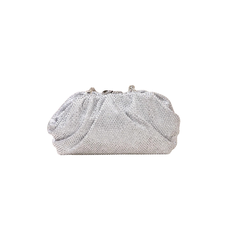 Silver Clutch
