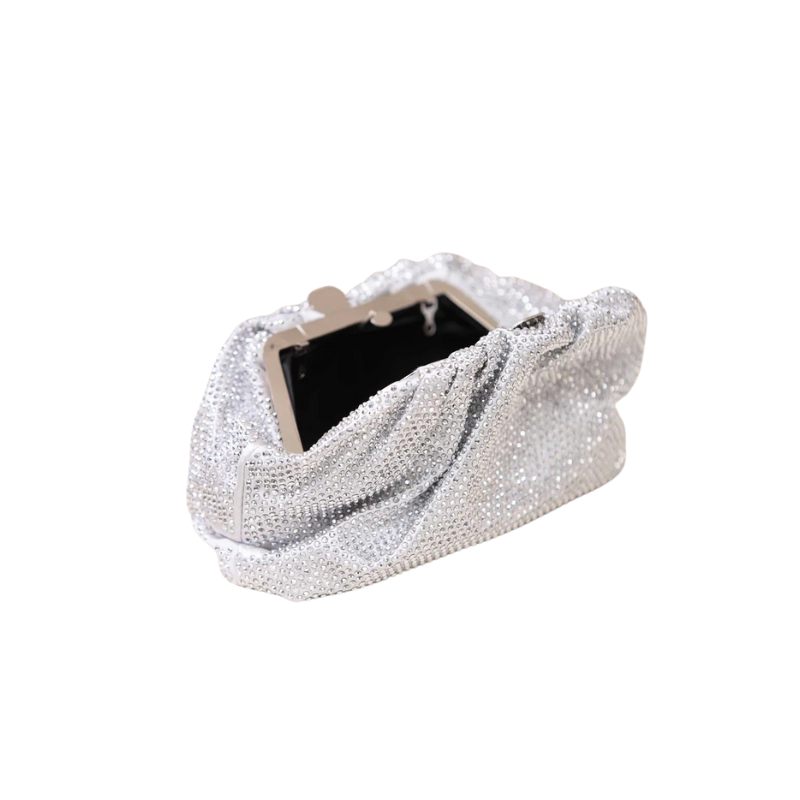 Silver Clutch