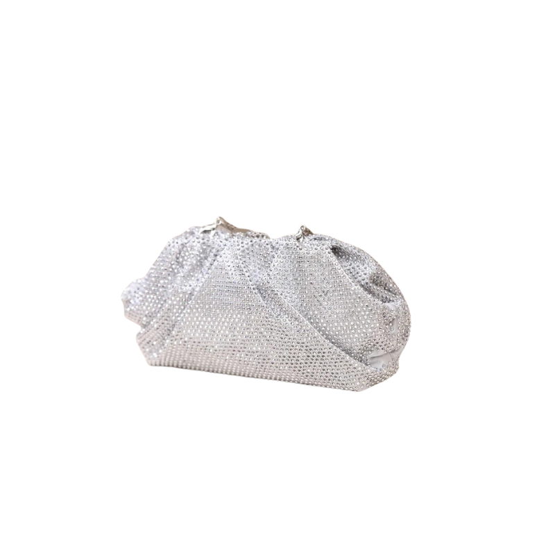 Silver Clutch